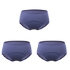 Load image into Gallery viewer, Leakproof Underwear - Protective Briefs - Pack of 3 